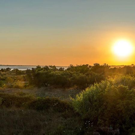 Villa Nissos Línia Екстериор снимка
